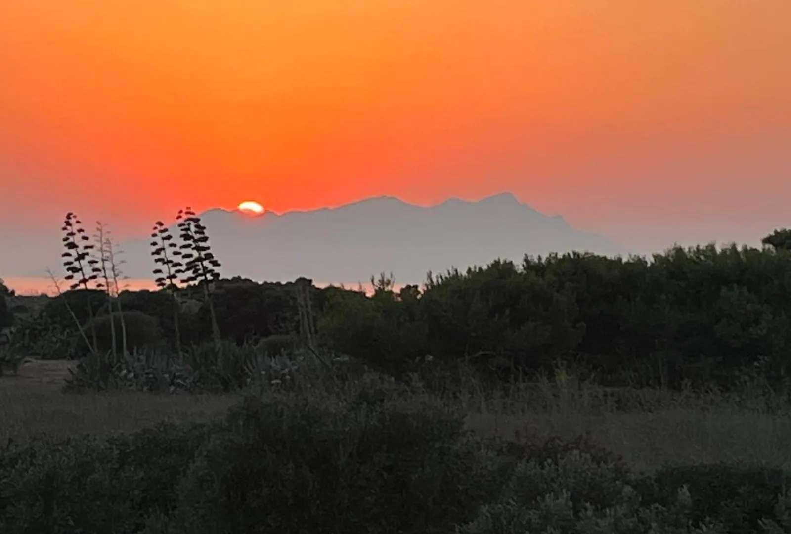 Villa Ostro Favignana