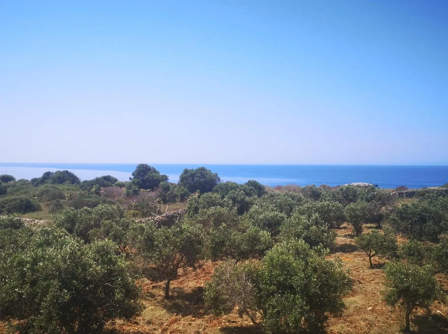 Villa Ostro Favignana